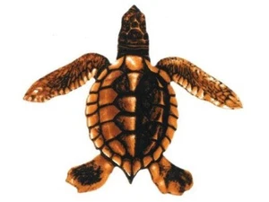 BABY TURTLE A - BROWN 5"x5" (CUSTOM MOSAICS INC - PORC-ST20A-BR) - Picture 1 of 1