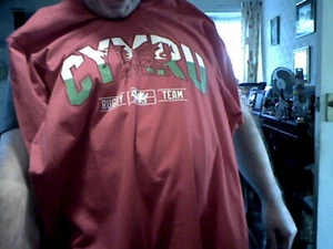 MEN WELSH RUGBY CYMRU T SHIRT LARGE BIRTHDAY CHRISTMAS WORLD CUP - Picture 1 of 1