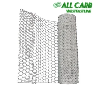 Galvanized Poultry Net - Fencing Chicken Wire 1" Hole -  24in×100ft Poultry Mesh - Picture 1 of 13