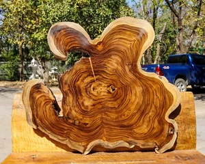 Teak BURL LUMBER Natural Slab Live Edge DIY Resin Epoxy Table Top Wood Work - Picture 1 of 12