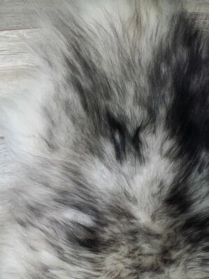 WOOOL Piel de oveja Piel de oveja islandesa | Grande | Negro, blanco, gris | 100% natural Foto 1 de 4