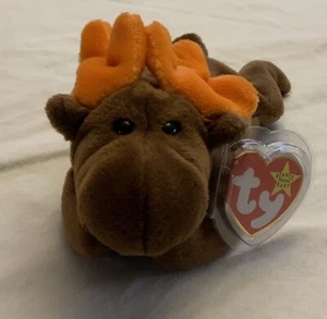 TY Beanie Babies - CHOCOLATE the Moose - MWMT - Imagen 1 de 9