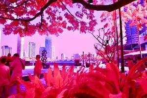 Infrared Filter, Aerochrome / IR-chrome 55mm filter *** SEE VIDEO *** UK Seller - Picture 1 of 21