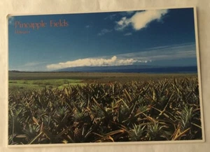 Pineaplles From Hawaii. Postcard (H2) - Picture 1 of 2