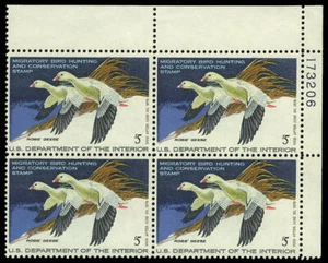 US #RW44 5,00 $ Ross's Geese PB Plattenblock Sehr guter Erhaltungszustand NH POSTFRISCH - Bild 1 von 1