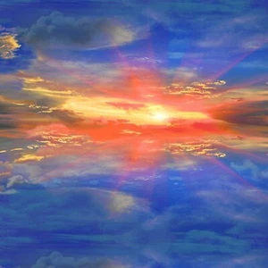 Timeless Treasures Sunset Poppies by Chong-A Hwang CD2526 Sunset Sky Cotton - Picture 1 of 1