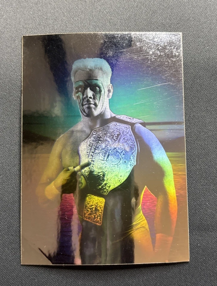 1991 Impel WCW - Жало - Голограмма - РЕДКАЯ - См. Фото для Состояния - ГРУБАЯ - Изображение 1 из 3