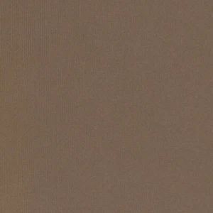 AC Cardstock, Earth Tones, Chestnut Brown Cardstock, 2 x 12', Texture, 80 lb - Picture 1 of 1