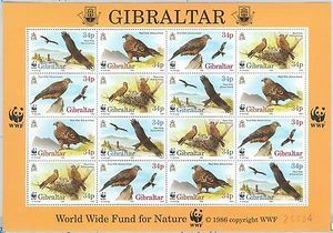 64428 - GIBRALTAR - STAMPS - 1996 WWF : Birds of Prey MINIATURE SHEETS - Picture 1 of 1
