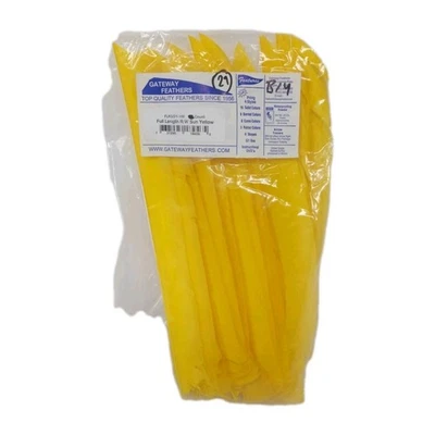 29 Count Gateway Feathers FULL LENGTH Right Wing: Sun Yellow  - Image 1 of 3