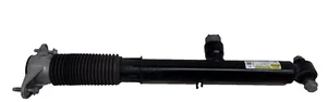 2024-25 Genuine Tesla Model 3 Rear Suspension Shock Strut Absorber 1344463-01-B - Picture 1 of 11