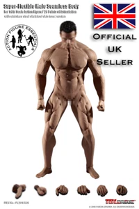 1/6 Phicen TBLeague M35 Male Action Figure Muscle Nude Body Only (UK stock) - Picture 1 of 11