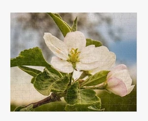 11x14 Jigsaw 252 Piece Picture Puzzle Apple Blossom Floral-South Dakota-NIB - Picture 1 of 3