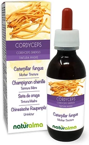 Cordyceps Order Chinesische Raupenpilz Alkoholfrei | Flüssig-Extrakt 120 Ml - Bild 1 von 9