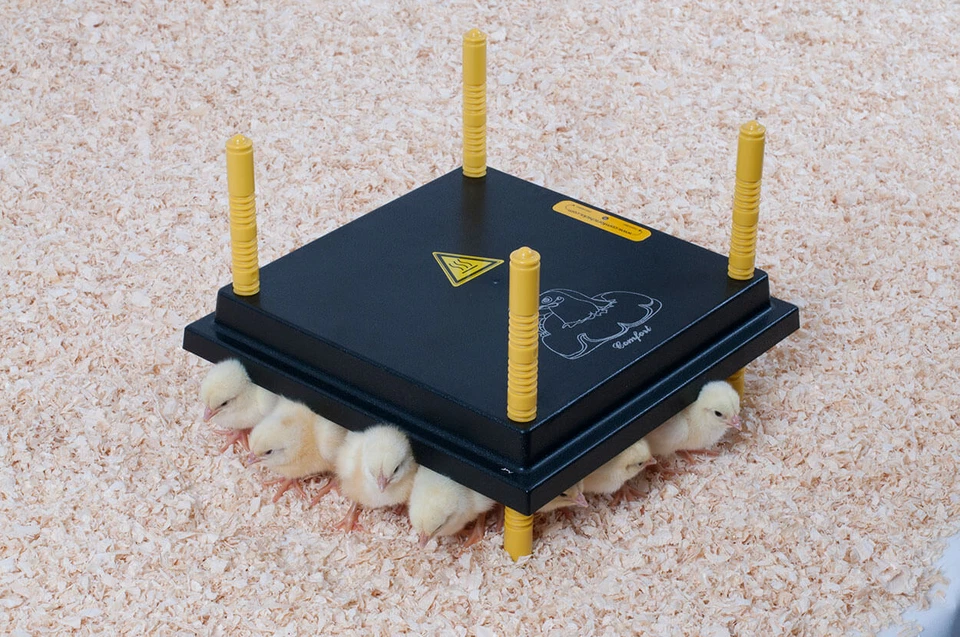 Beeztees 18150 Wärmeplatte für Küken - 30x30cm, 22W