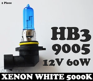 1x HB3 9005 60W 12V Xenon White 5000k Blue Car Headlight Lamp Globes Bulbs HID - Picture 1 of 9