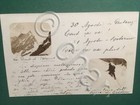 Cartolina Valtournenche - 1904