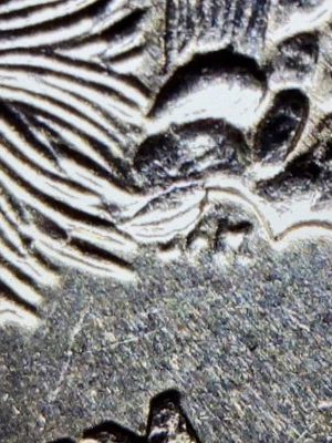 Arizona State Quarter 2008-P with Extra Cactus Leaf Beautiful Condition - Image 1 of 4