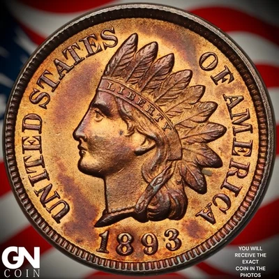 Centavo cabeza india 1893 A7414 Foto 1 de 2