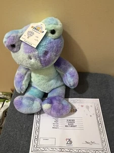 BUILD A BEAR HOPPY SWIRLS TIE DYE PLÜSCHFROSCH - VOLLE GRÖSSE NEU, MIT ZERTIFIKAT - Bild 1 von 4