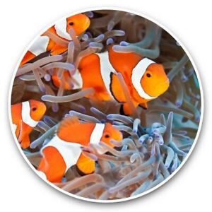 2 x Vinyl Stickers 25cm - Orange Clown Fish Reef  #45939