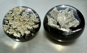 Vintage Tarax Infinity Products Paperweight Lot 2 Queen Anne’s Lace Polyquartz - Picture 1 of 6