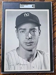 JOE DIMAGGIO 1947-50 NY Yankees Team Issue Picture Pack Freshly SGC 4++ Rarity - Picture 1 of 2
