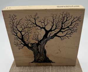 Stampa Rosa Rubber Stamp Spooky/Bare Tree 1998 - Picture 1 of 2