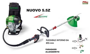 ACTIVE DECESPUGLIATORE A ZAINO 5.5 Z 2025 SUPER PROFESSIONALE 100% MADE IN ITALY - Foto 1 di 4