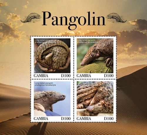 Gambia 2019 - Animales pangolín - Hoja de 4 estampillas - Scott #3859 - MNH Foto 1 de 1