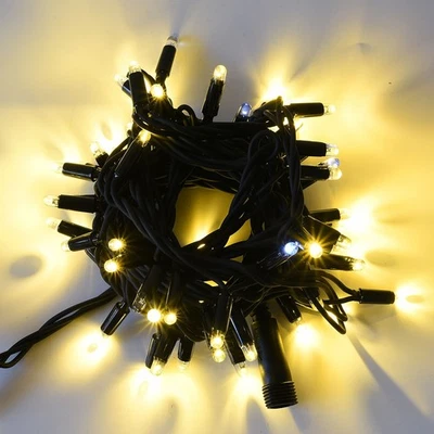 Catena di 100 maxi LED da esterno prolungabile con cavo nero luce calda + flash - Immagine 1 di 4