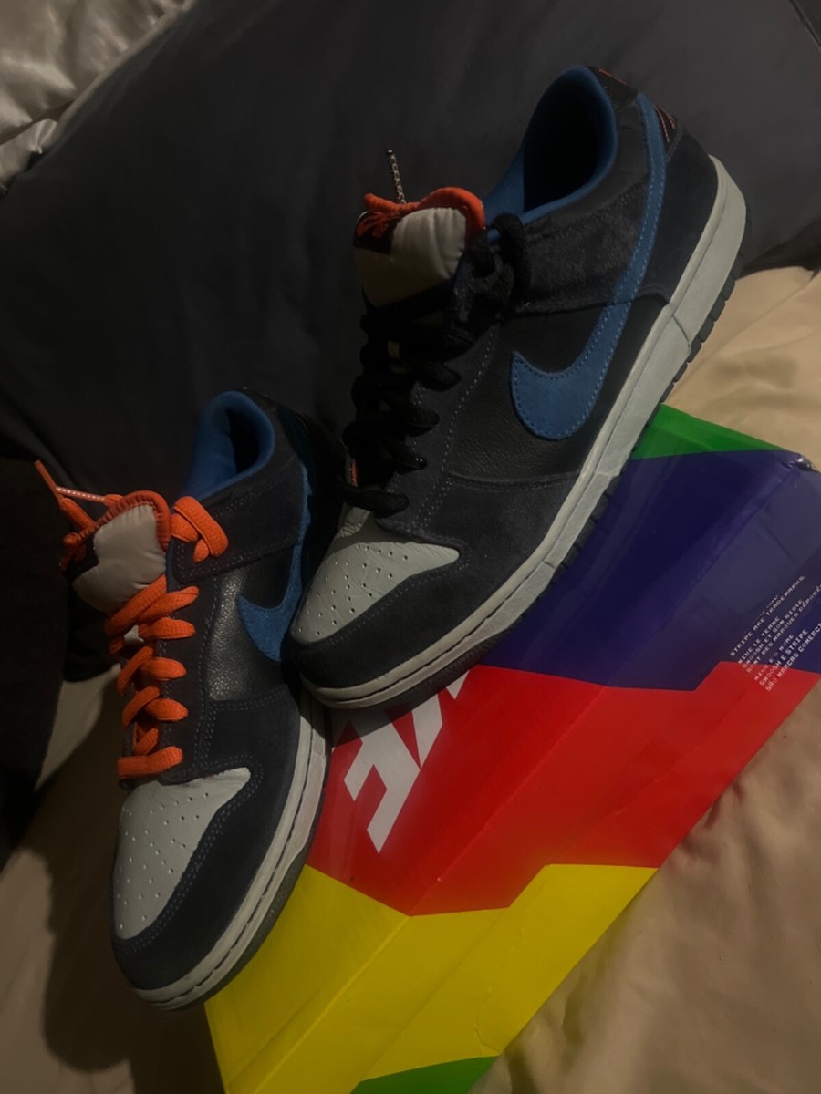Nike Dunk Pro SB Low Patagonia for Sale | Authenticity Nike Dunk Pro SB Low Patagonia for Sale | Authenticity