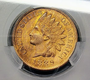 1889 Indian Head Cent - CAC MS 63 RB - Woodgrain Toning - Surviving Pop. 500 - Picture 1 of 18