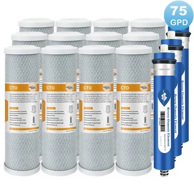75 GPD RO Membrane Carbon Water Filter for GE GXRM10RBL Reverse Osmosis Systems - Image 1 of 4
