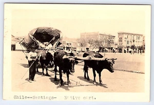 Chile Santiago Native Cart Cattle buildings Real Photo Postcard B991 - Picture 1 of 2