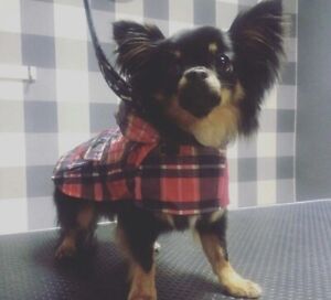Genuine Puppia Barrington Lightweight Waterproof Raincoat Puppy/Teacup Breed