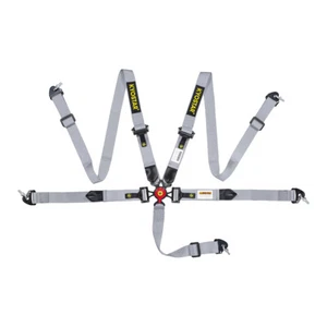 KYOSTAR Grey Cam Lock Carbon Fiber Quick Release Seat Belt Safety Harness 5pt - Picture 1 of 13