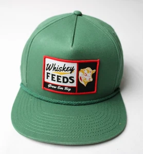 Whiskey Bent Hat Co. Grazer Mütze verstellbar Roped Snapback CD4 grün Einheitsgröße - Bild 1 von 6