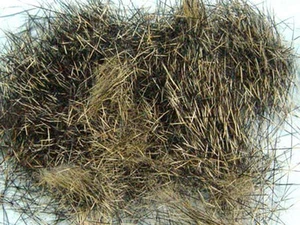 1x1g DUBBING ECUREUIL roux (squirrel) montage mouche nymphe fly tying fishing - Photo 1/1