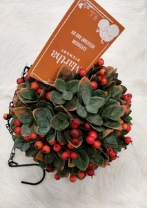 Martha Stewart FALL TOPIARY HANGING PLANT BALL Thanksgiving PIP Bittersweet NEW - Picture 1 of 24