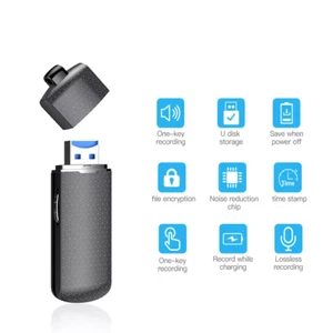 16GB Mini Audio Voice Recorder Digital Sound Dictaphone USB Flash Drive U Disk - Picture 1 of 6
