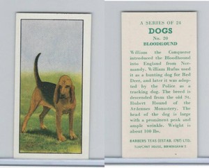 B0-0 Barbers Tea, Dogs, 1961, #20 Bloodhound