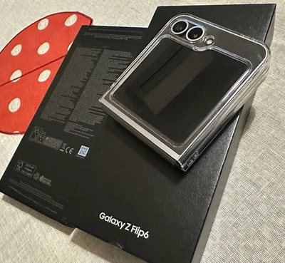Smartphone Pieghevole SAMSUNG Galaxy Z Flip 6 5G F741 12+256GB Silver Siderale - Immagine 1 di 3