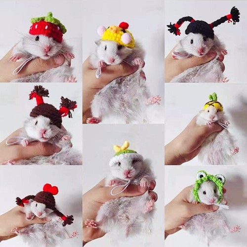 Funny Pet Hamster Caps Bird Knitted Decor HatS Small Animal Ferret Guineapig Toy