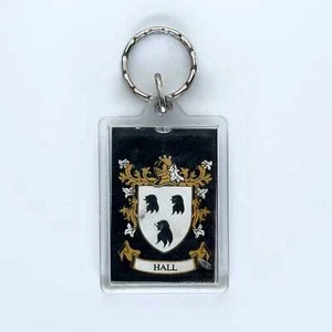 ‘Hall Family Crest’ Key Ring Rectangle Clear Acrylic, Good Condition - Picture 1 of 3