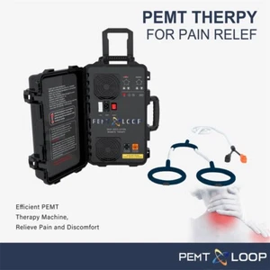 PMST PEMF EMTT Magnetische Physiotherapie Gesundheitswesen Massagegerät Pferd Tierärzte - Bild 1 von 40