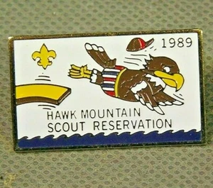 Boy Scouts Hawk Mountain Council 1989 Scout Camp Cloisonné Pin - Picture 1 of 2