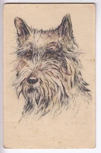 CPA ANIMAL FANTAISIE - CHIEN DOG CAIRN TERRIER ECOSSE DESSIN 1945 ~C80 - Imagen 1 de 2