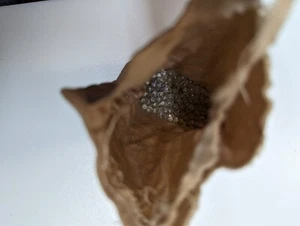 Vintage Made Czechoslovakia Small Translucent Clear Glass beads Bag Partial 3.4 - Picture 1 of 6