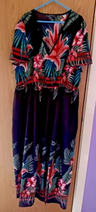 Spring/Summer Black V-Neck Maxi Dress with a Floral & Foliage design - Picture 1 of 4